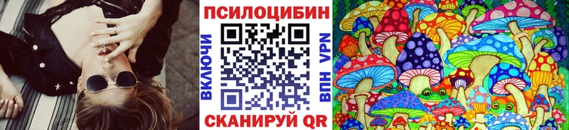 Галлюциногенные грибы Psilocybe  Саров 