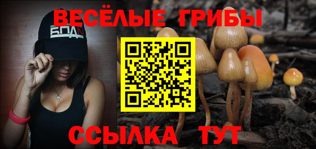 Псилоцибиновые грибы Psilocybine cubensis Саров